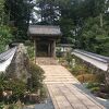 木々に囲まれる