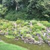縁側からの眺め