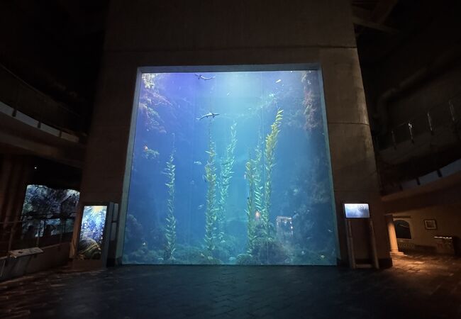 国立海洋生物博物館
