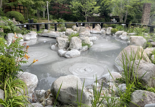 灰色の熱泥が球状に沸騰する様が坊主頭に似ていることが由来