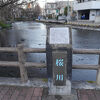 白滝公園を過ぎた辺りとか川幅が広くなって