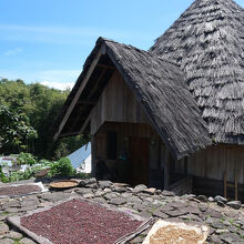 ...豆類が干してあって生活の息吹が感じられました。