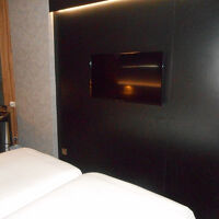 薄型テレビです。NHK含め日本語チャンネルはなさそうです