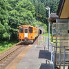 駅前に集落はありますが、周囲は山の中