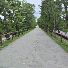 昔、ここをバイクや自動車で走っていたけど、今は風情のある遊歩道