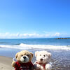 利用しやすい所だと思います