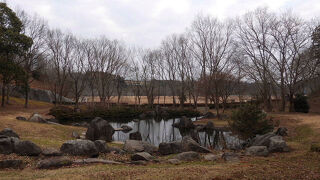 アオジが見られました。