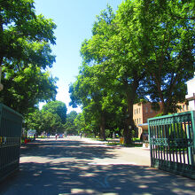 北海道大学正門