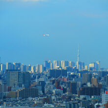 川崎市本庁舎展望ロビー・スカイデッキ
