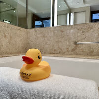 ダックちゃんがお出迎え