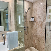 正真正銘のレインシャワーでした