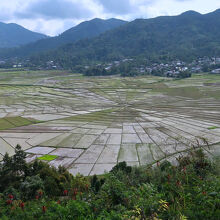 近郊には、クモの巣模様に区切られた水田群や…、