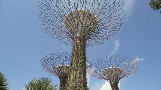 サンズホテルから