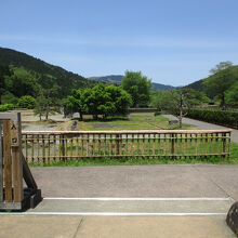 一乗谷朝倉氏遺跡(庭園)