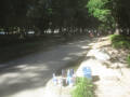 名城公園