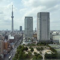お部屋の窓の向こうはスカイツリー、窓の下には錦糸公園