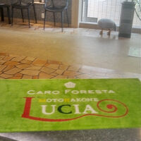 CARO FORESTA 元箱根 LUCIA 写真