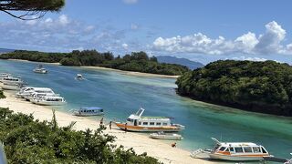 海亀と青い珊瑚礁