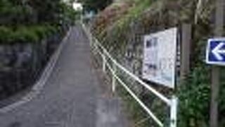 読売巨人軍長嶋茂雄ランニングロード