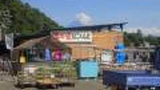 沼津大瀬崎　民宿　はごろも荘