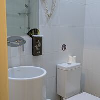 洗面ボールは丸く可愛くシャワーは湯量たっぷり。