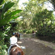 以前は渓谷内を乗馬出来ていました　2019年撮影
