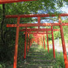 丸高稲荷神社　フォトジェニックな朱鳥居