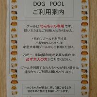 dogプール利用案内
