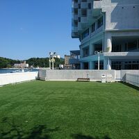 新設のドックラン