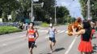 北海道マラソン