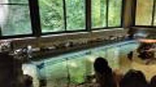 栃尾又温泉 自在館