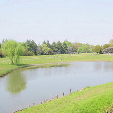 古河公方公園(古河総合公園)