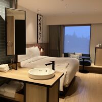 洗面所がワンルームなのが便利