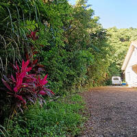 緑の中にある小さなお宿　