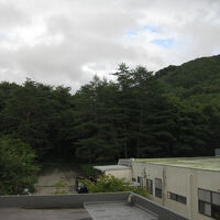 部屋からの眺め　自然がいっぱい　森が見える