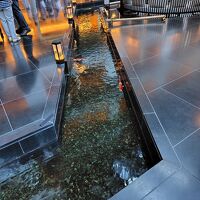 鯉が泳いでいる水路