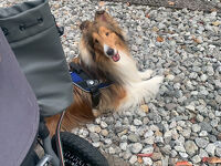 くらすわ － 信州地産地集ショップ