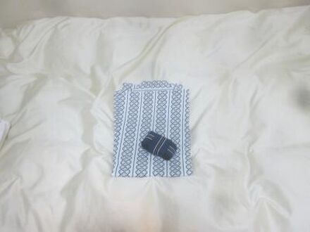 ホテル松山ヒルズ JR松山駅前店 写真