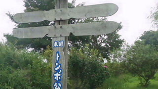 ムナグロが見られました。