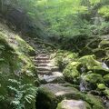 苔むした岩の渓谷