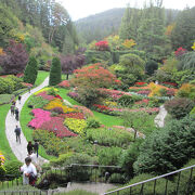 ブッチャート ガーデン クチコミ・アクセス・営業時間