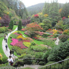 ブッチャート ガーデン クチコミ・アクセス・営業時間