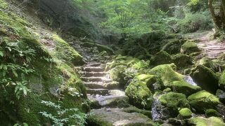 御岳山ロックガーデンハイキングコース