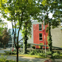 横から見たところ