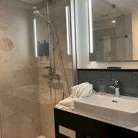 コンパクトでバスタブはないが、清潔です