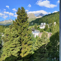 朝は鳥の鳴き声が凄いです