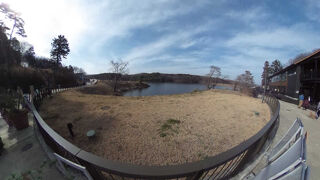 30数年振りに訪れた宮沢湖はワンちゃんのテーマパークの様だった