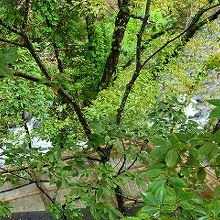 くつろぎ宿 新滝