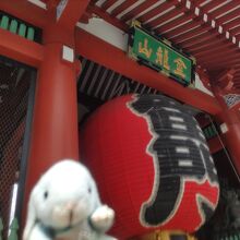 やっぱりこちらは１枚