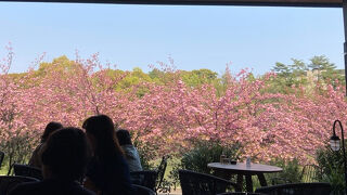 バードツリー 千里南公園